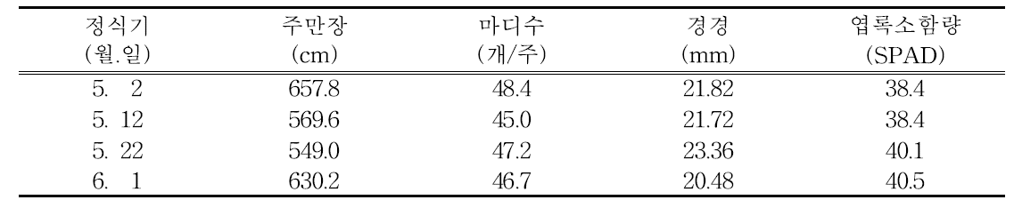 정식시기별 지상부 생육(생육후기)