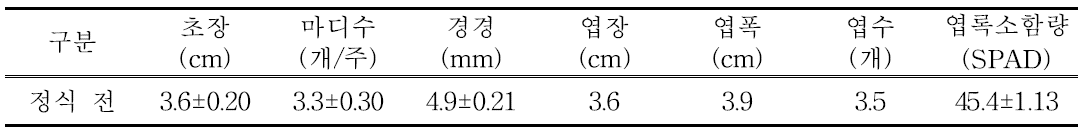 차요테 정식 전 묘소질