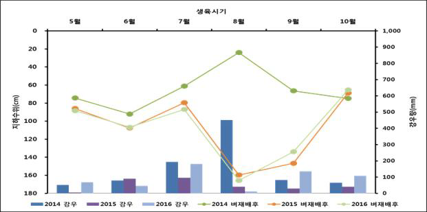 벼 재배후 옥수수 재배기간 강우 및 지하수위 분포