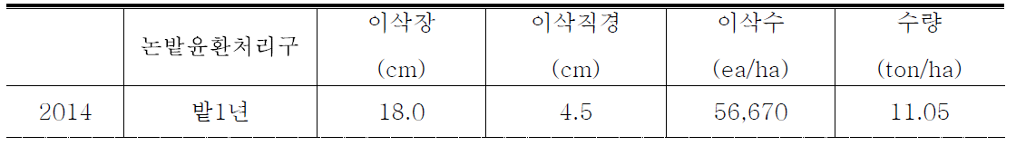 2015년도 간척지 농지조성 후 논밭윤환에 의한 옥수수 수량 특성