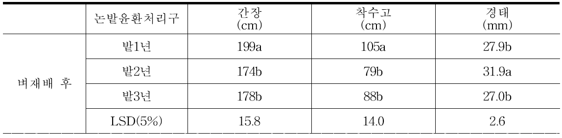 간척지 벼재배후 논밭윤환에 의한 옥수수 생육 비교