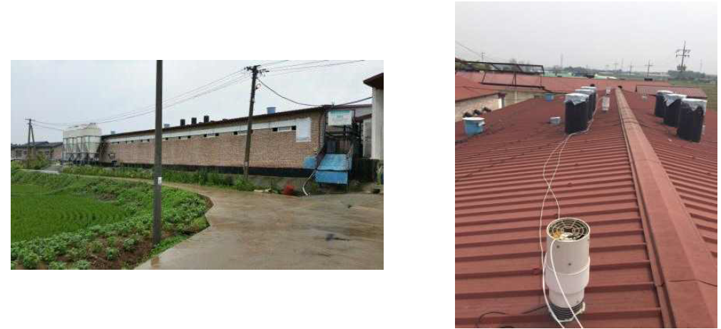 전북 김제시 실험농가 돈사(왼쪽), 전북 김제시 실험농가 돈사 지붕(오른쪽)