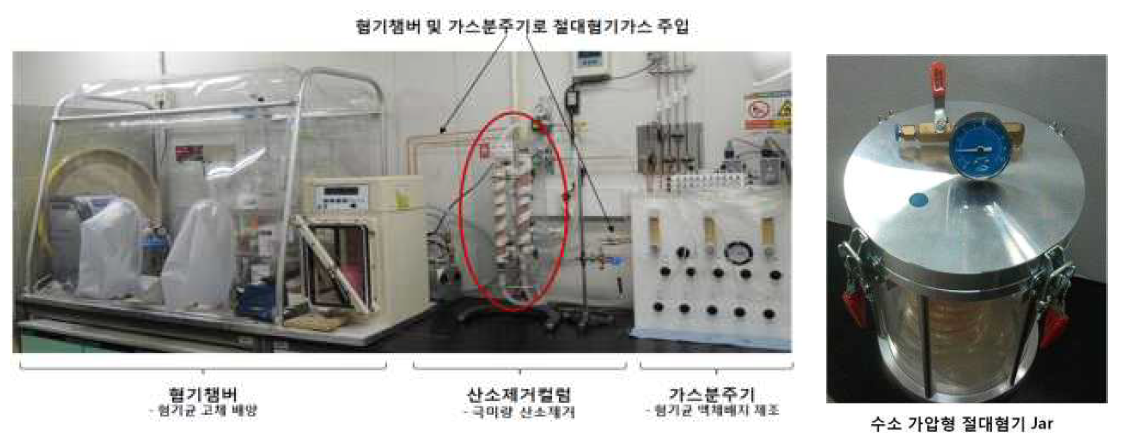 한국생명공학연구원 미생물자원센터에 구축된 메탄균 배양 시스템