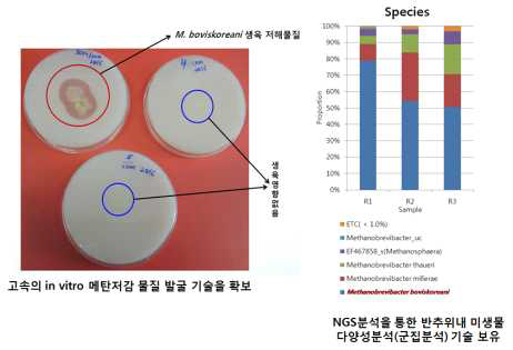 한우 반추위 메탄균의 paper-disk in vitro 분석을 통한 메탄저감 기술 개발 방법