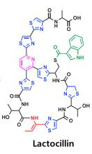 AB균주가 생산하는 대사산물인 lactocillin 분자 구조