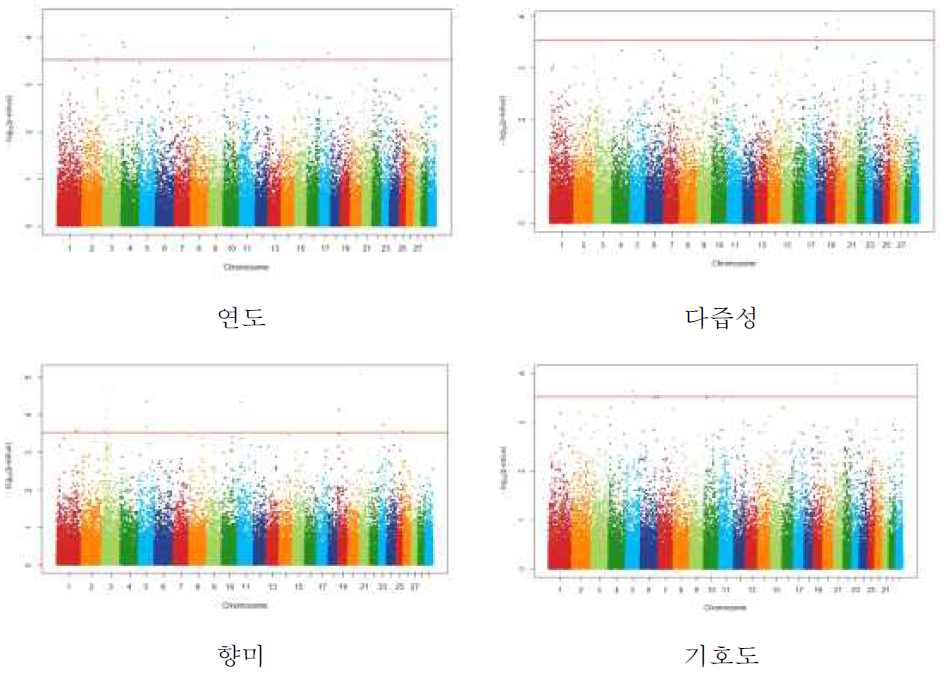 등심육의 맛관련 SNP에 대한 GWAS 분석결과