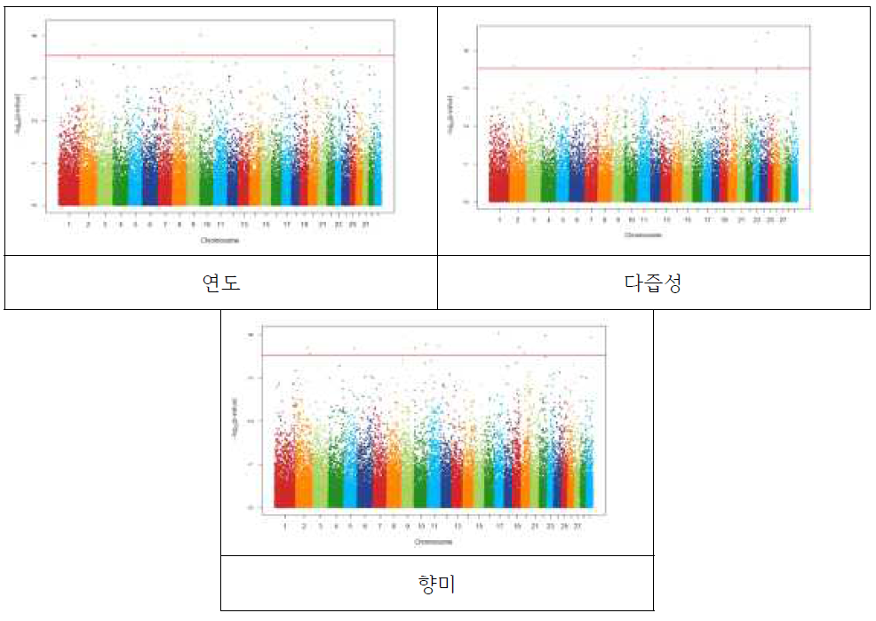 설도육의 맛관련 SNP에 대한 GWAS 분석결과