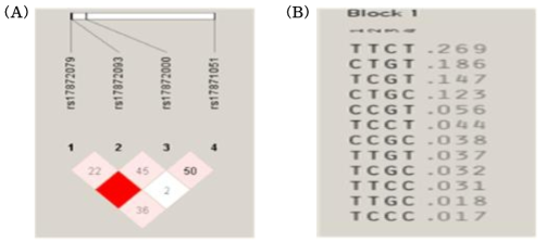 Linkage disequilibrium 양상(A)과 hyplotype 빈도(B)