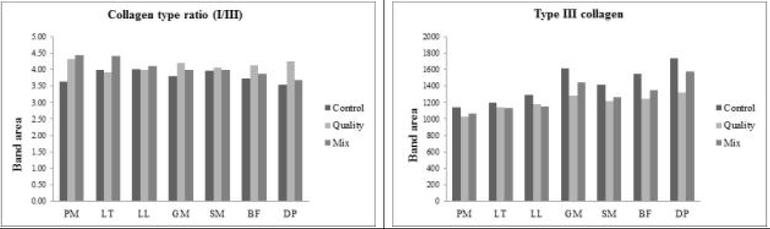 Quantification of collagen types of 7 different muscles from Hanwoo subjected to different feeding; PM, Psoas major; LT, Longissimus thoracis; LL, zongissimus lumborum; GM, Gluteus medius; SM, Semimembranosus; BF, Biceps femoris; and DP, Diaphragm muscles.