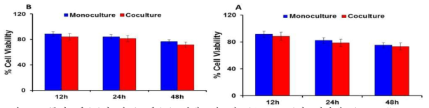 등심근육(B)와 우둔근육(A) 결체조직 세포(fibroblast)와 지방세포(pre-adipocyte 3T3-L1)의 단독 또는 공동배양에서 세포 성장률