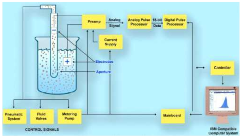 Diagrammatic illustration of the Coulter Principle applied in the Multisizer.