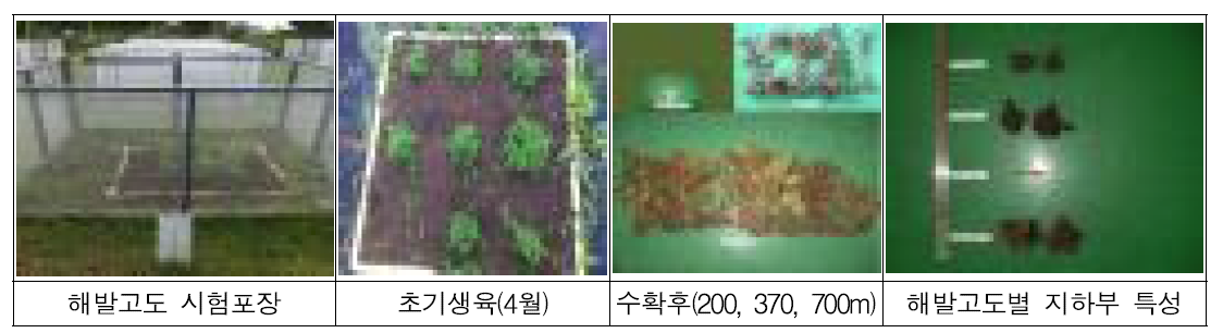 2014년 해발고도별 기온변화에 따른 일천궁 생육특성