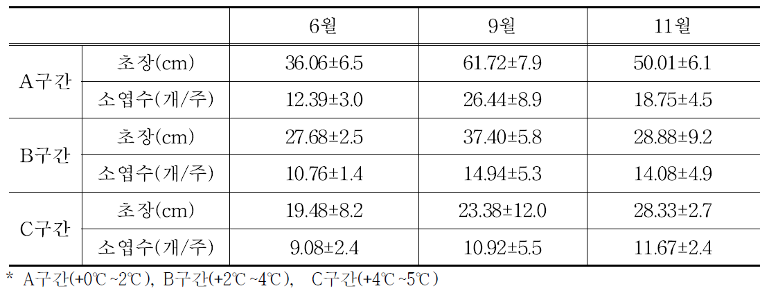 평창 온도구배터널 구간별 당귀의 초장 및 엽수