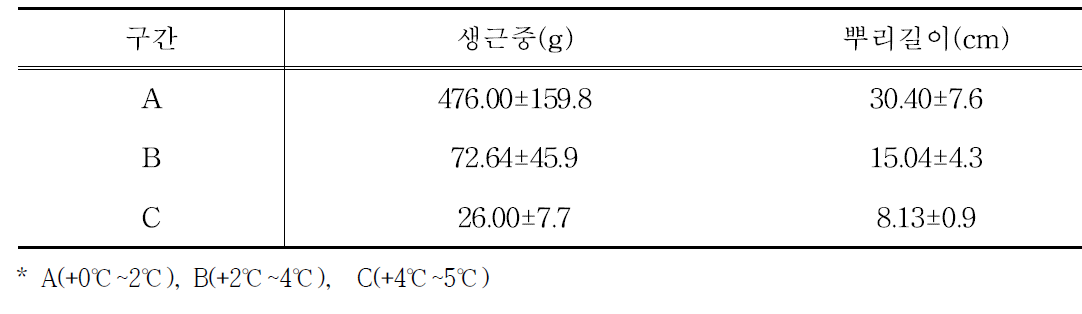 온도구배 구간별 당귀 지하부 수량 특성