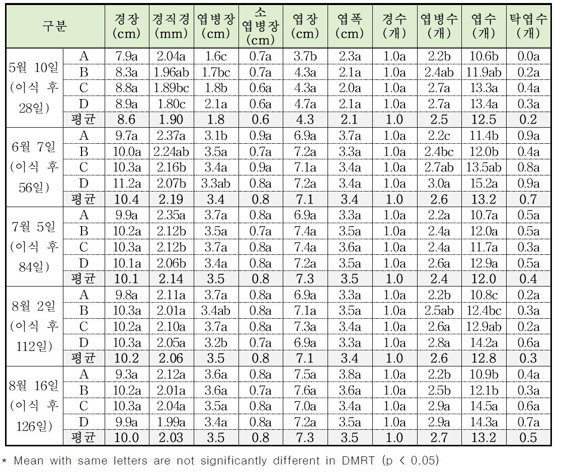 음성 4월 12일 이식 처리구 온도처리별 지상부 생육특성