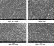 이산화탄소 처리농도별 기공밀도 조사