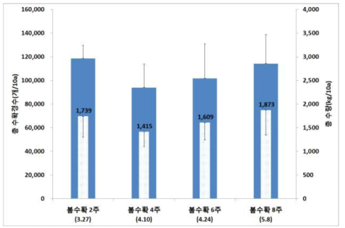 줄기세움 시기에 따른 총 수확량 비교(춘천, ’15)