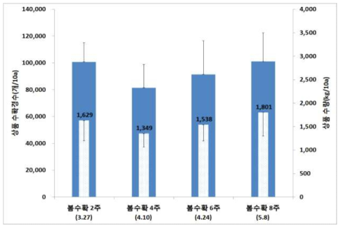 줄기세움 시기에 따른 상품 수확량 비교(춘천, ’15)