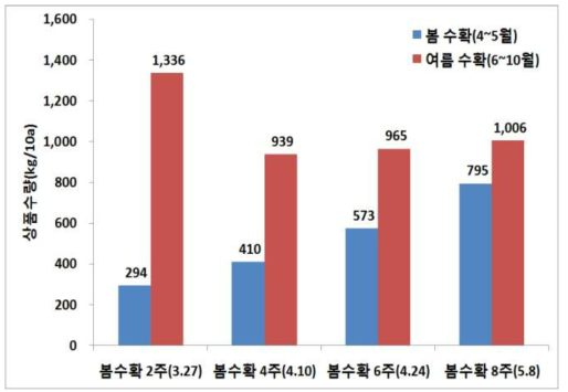 줄기세움 시기에 따른 봄, 여름 상품수량 비교(춘천, ’15)