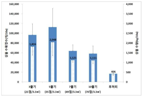 줄기세움 수에 따른 상품 수확량 비교(춘천, ’15)