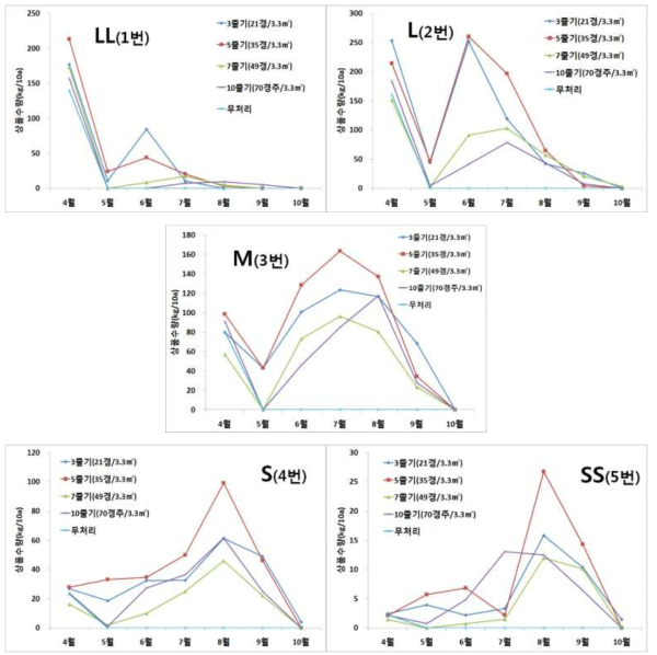 줄기세움 수에 따른 규격별 수량 변화(춘천, ’15)