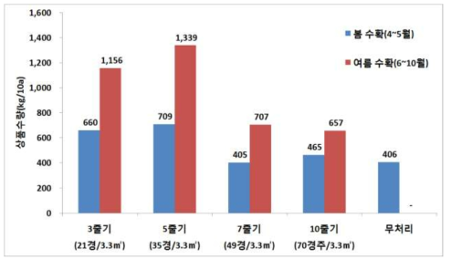 줄기세움 수에 따른 봄, 여름 상품수량 비교(춘천, ’15)