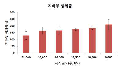 재식밀도별 뿌리 생체중 비교(’14)