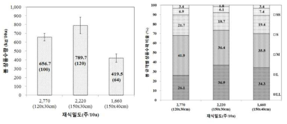 재식밀도별 아스파라거스 봄(4~6월) 상품수량 및 규격별 수확비율 비교(’16)