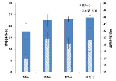 적심높이별 뿌리생육 비교(’14)