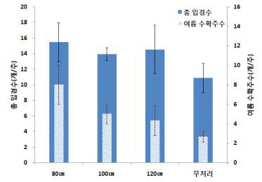 적심높이별 총입경수 및 수확주수 비교(’14)