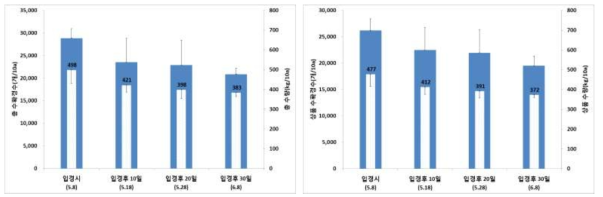 노지 적심시기별 여름 수확량 비교(양구, ’15)