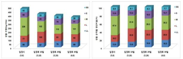 노지 적심시기에 따른 여름 규격별 상품수량 비교(양구, ’15)