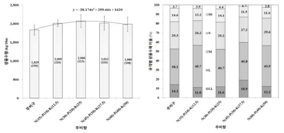 노지재배 추비량에 따른 상품수량 및 규격별 수확비율 비교(’16)