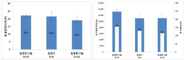 노지 추비시기별 여름 총 출현경수 및 수량 비교(양구, ’15)