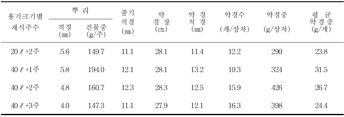 아스파라거스 상자 용기재배 용기크기에 따른 재식주수별 뿌리 및 수확 약경특성