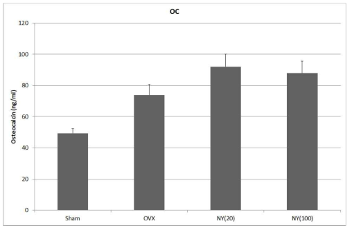 골다공증 모델에서의 녹용 섭취에 의한 Osteocalcin (OC) 분비에 대한 효과.