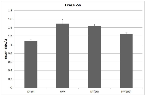 골다공증 모델에서의 녹용 섭취에 의한 Tartrate-resistant acid phosphatase-5b (TRACP 5b) 발현에 대한 효과