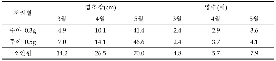 대주아 크기에 따른 생육시기별 지상부 생육특성