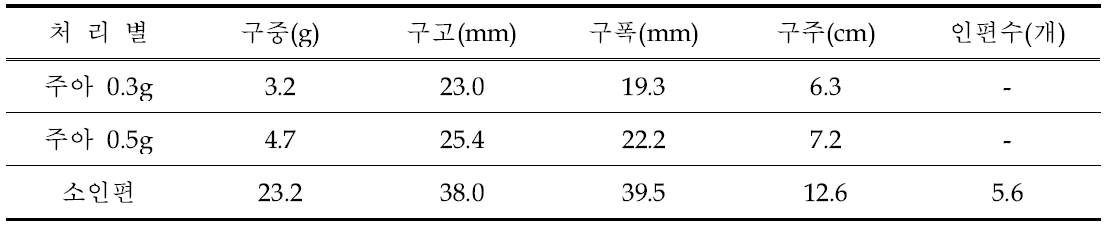 대주아 크기에 따른 마늘 소구 생육특성