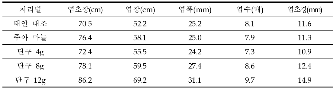 주아 유래인편과 단구의 5월 지상부 생육특성