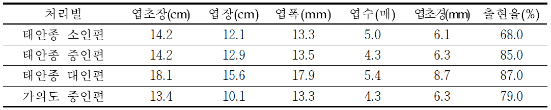 태안종 인편크기와 가의도 마늘 중인편의 3월 지상부 생육특성