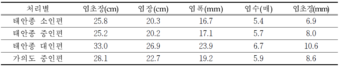 태안종 인편크기와 가의도 마늘 중인편의 4월 지상부 생육특성