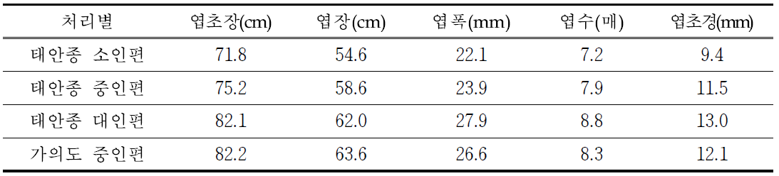 태안종 인편크기와 가의도 마늘 중인편의 5월 지상부 생육특성