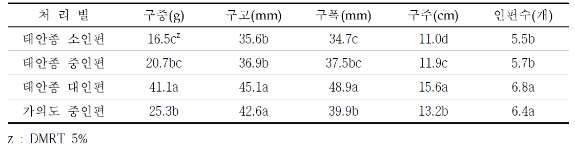 태안종 인편크기와 가의도 마늘 중인편의 종구 생육특성