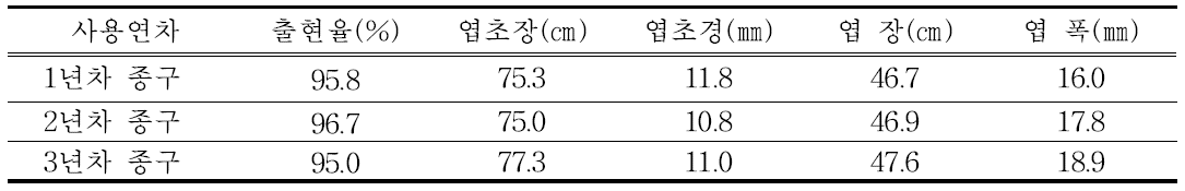 마늘 후대종구 연차별 생육조사