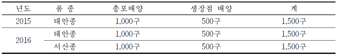 마늘 생장점 및 총포배양구 생산