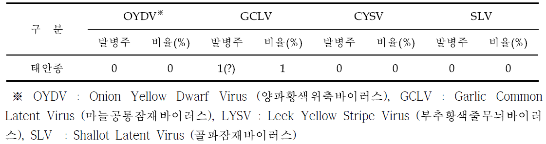 마늘 생장점 바이러스 검정결과