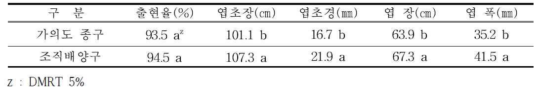 지상부 생육 특성 비교