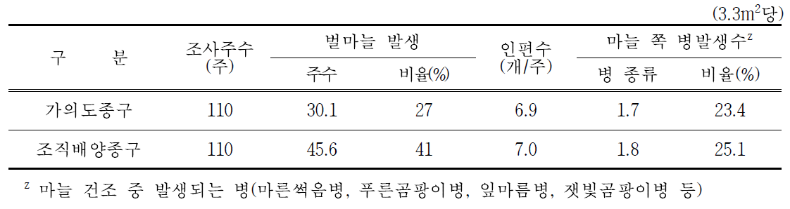 생육기간 중 벌마늘 및 수확 후 건조 기간 중 종구 병 발생 비율