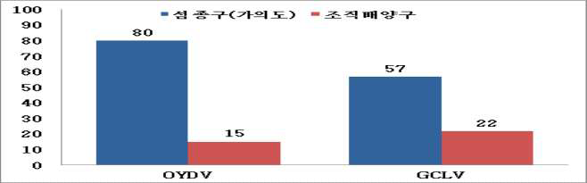 조직배양구와 가의도종(섬종구)의 마늘 바이러스 검정